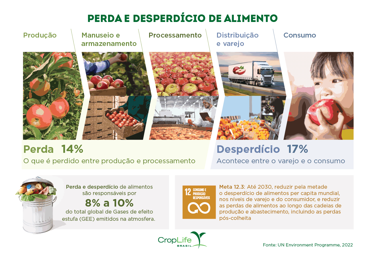 Infográfico mostrando onde ocorre a perda e o desperdício de alimentos, da produção ao consumo