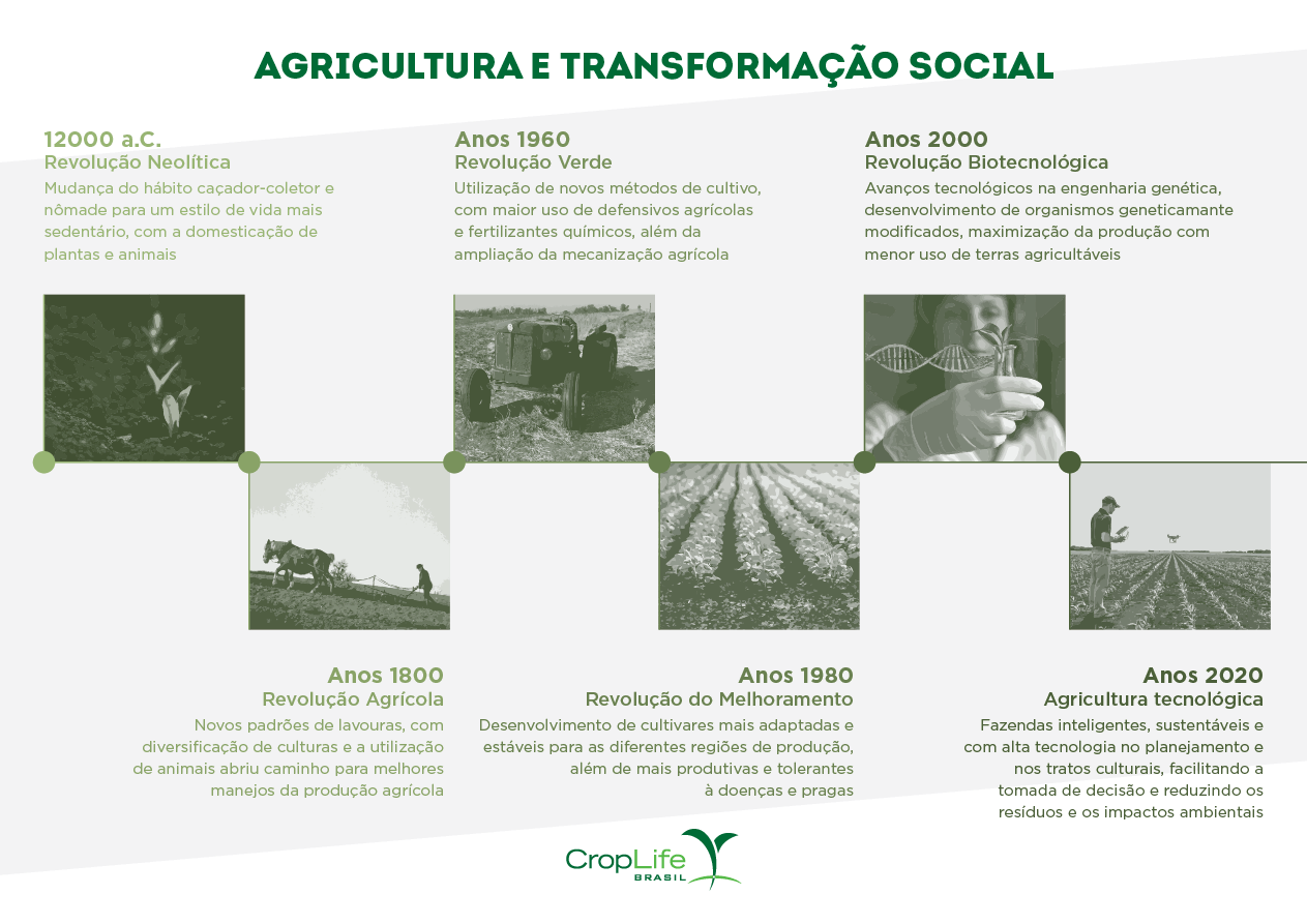 Infográfico mostrando a importância da agricultura sua transformação social