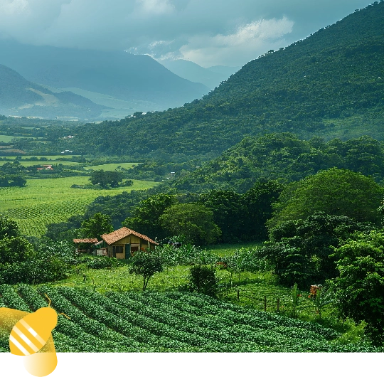 Boas Pr�ticas Agr�colas - Coexist�ncia Polinizadores