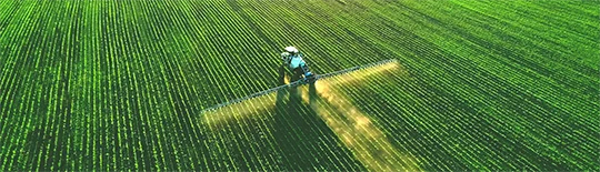 Boas Pr�ticas Agr�colas - Impacto do uso de insumos ilegais