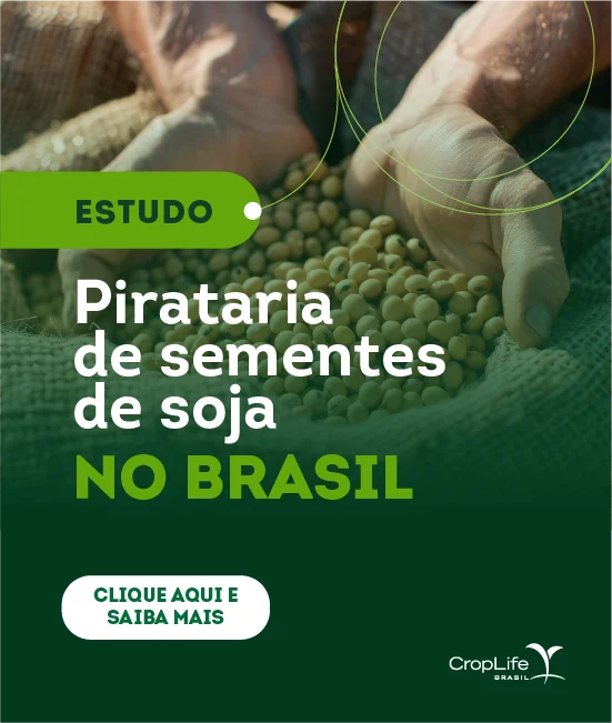 pirataria-semente-soja