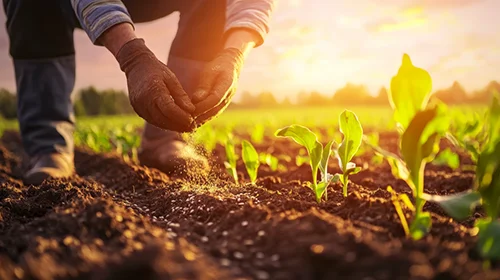 SUSTENTABILIDADE NO CAMPO