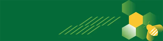 Boas Pr�ticas Agr�colas - Coexist�ncia Polinizadores